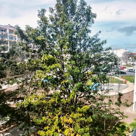 Apartment Spot Portimão