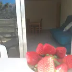Spot