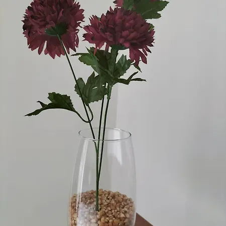 Spot Apartamento Portimão