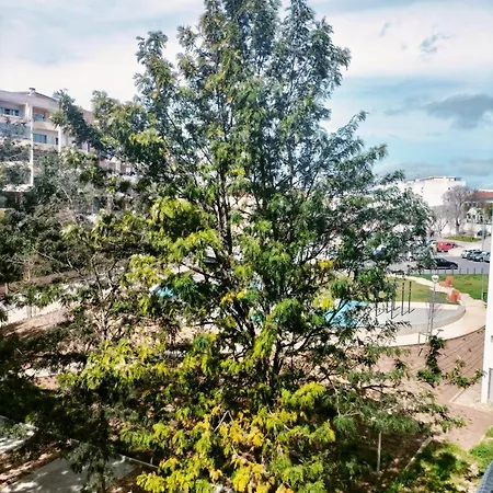 Spot Apartamento